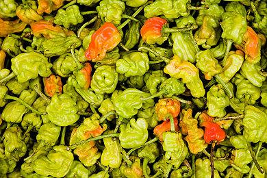 Steam为《最后的生还者》玩家退款 超过游玩时限也可以